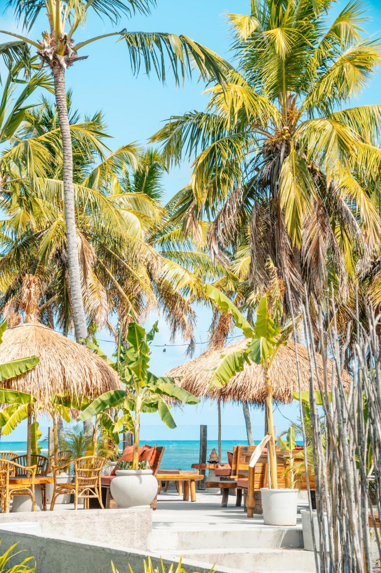 Zai Patacho Hotel Pôrto de Pedras Екстериор снимка